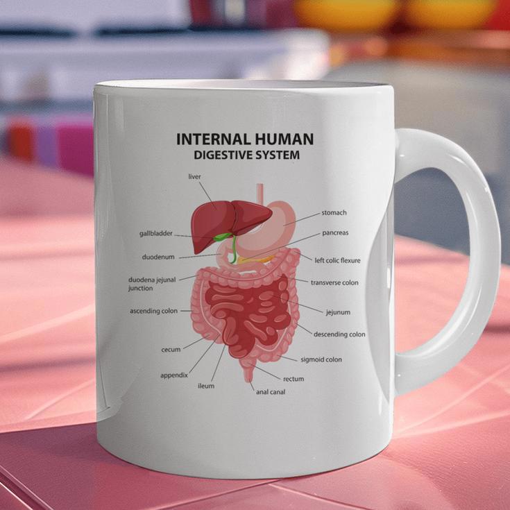 Digestive System Anatomy Anatomical Biology Teacher Men Women Graphic Print Coffee Mug, gift for family, gift for coworker Digestive System Anatomy Anatomical Biology Teacher Men Women Graphic Print Coffee Mug, gift for family, gift for coworker