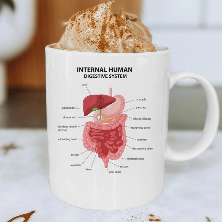 Digestive System Anatomy Anatomical Biology Teacher Men Women Graphic Print Coffee Mug, novelty gifts, funny gifts Digestive System Anatomy Anatomical Biology Teacher Men Women Graphic Print Coffee Mug, novelty gifts, funny gifts