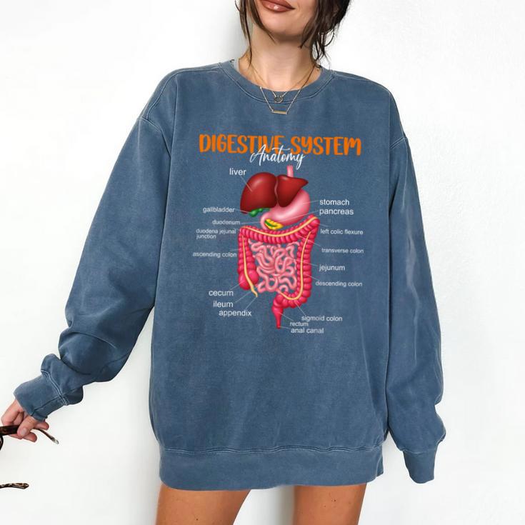 Digestive System Anatomy Anatomical Biology Teacher Comfort Colors Sweatshirt Digestive System Anatomy Anatomical Biology Teacher Comfort Colors Sweatshirt
