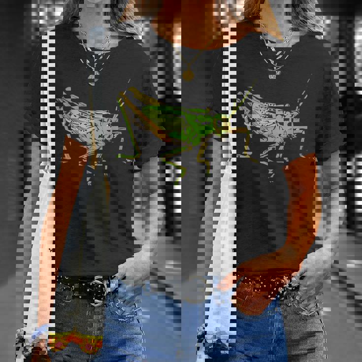 キリギリス アート デザイン イラスト イナゴ キリギリス Tシャツ 彼女への贈り物