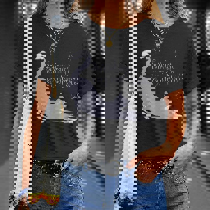 ストレッチは大事！ 猫 ネコ 愛猫 伸び 柔軟 ハチワレ 靴下猫 シンプル かわいい 癒やし メンズ レディース キッズ Tシャツ 彼女への贈り物