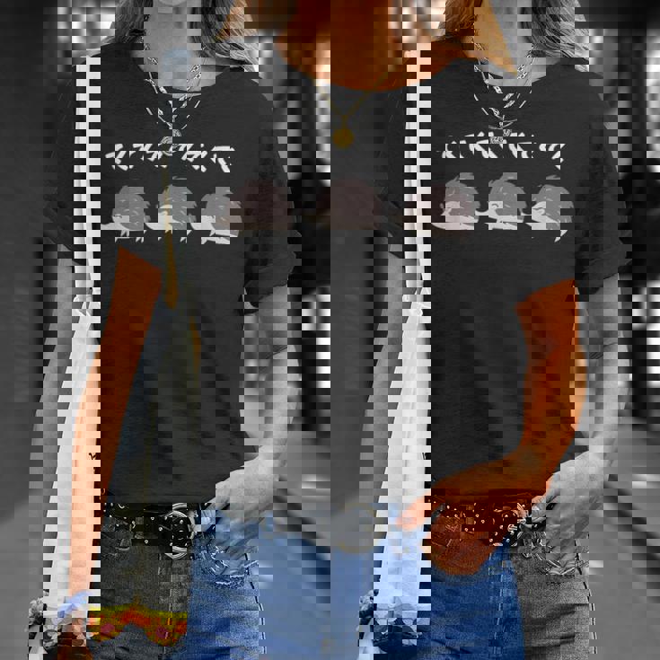 ハリネズミ てくてく ハリネズミ好き ハリネズミの飼い主 おもしろ 可愛い ハリネズミ Tシャツ 彼女への贈り物