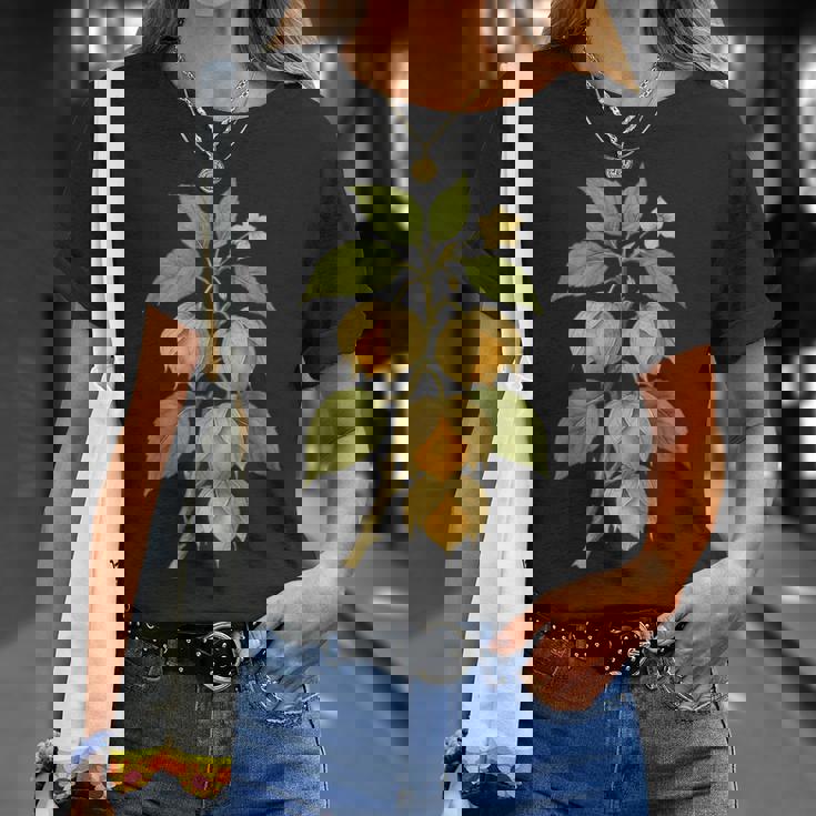 ヴィンテージ ボタニカル サイサリス 自然 フルーツ アートプリント Tシャツ 彼女への贈り物