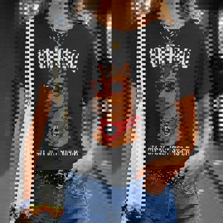 還暦祝い 馬 うま好き 干支 父 男性 女性 還暦 お祝い 60歳 おもしろ おもろい Tシャツ 彼女への贈り物