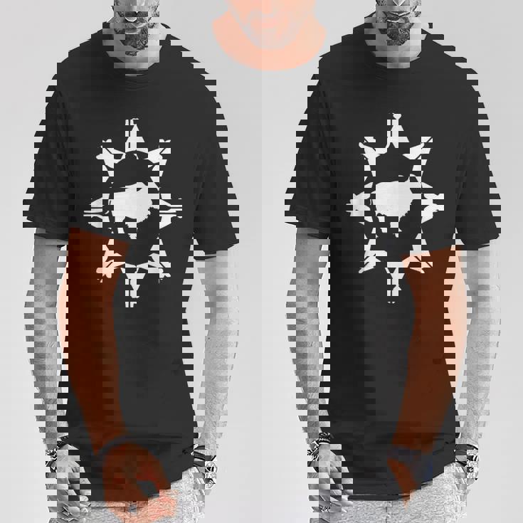 Drapeauioux De Lakota D'oglala T-Shirt Cadeaux drôles