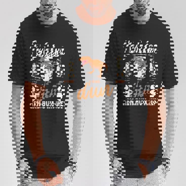 L'évolution D'un Grand Bouvieruisse T-Shirt Cadeaux drôles