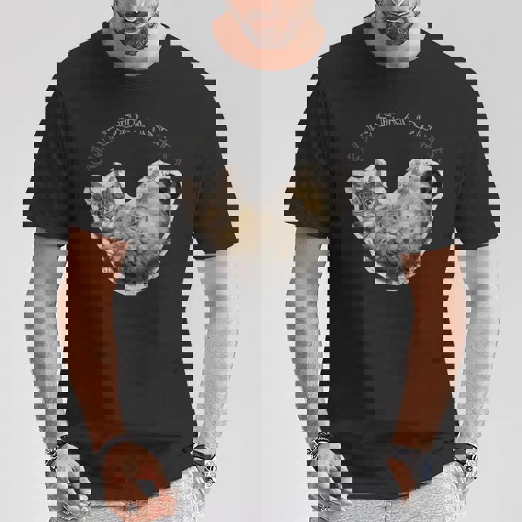 Lying Cat Tシャツ 面白い贈り物