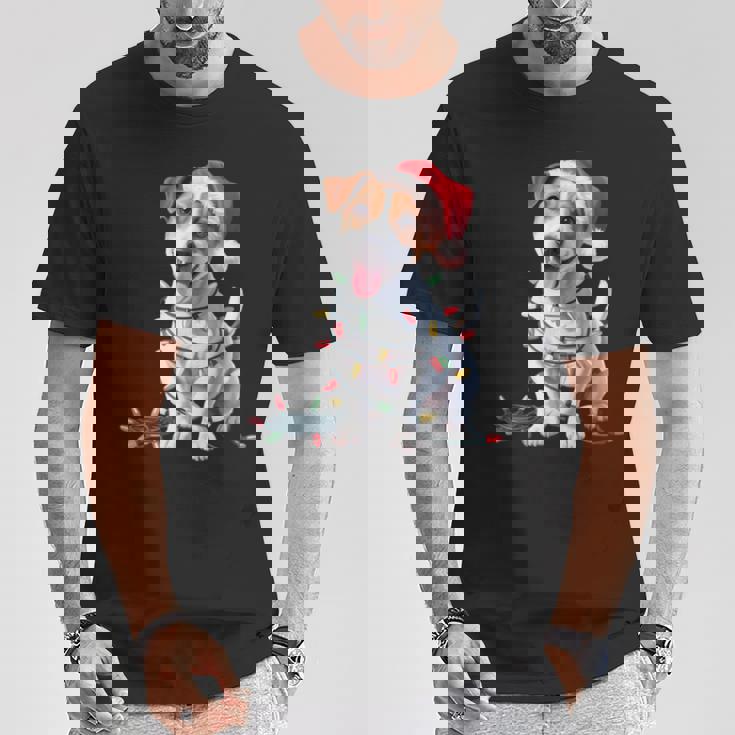 Mignon Chien Jack Russell Lumières De Noël Noël Amoureux Des Manche Longue T-Shirt Cadeaux drôles