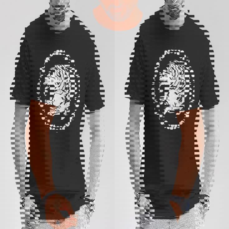 Simorgh Le Phoenixymbole De La Persie Ancienne T-Shirt Cadeaux drôles