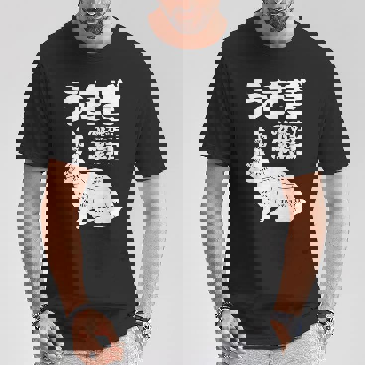 うさぎの撫で方解説 ウサギ好き うさぎ好き うさぎの飼い主 ウサギ飼い おもしろ うさぎ 兎 Tシャツ 面白い贈り物