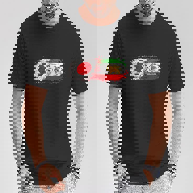 イランと日本一緒、半分日本人、半分イラン人 Tシャツ 面白い贈り物