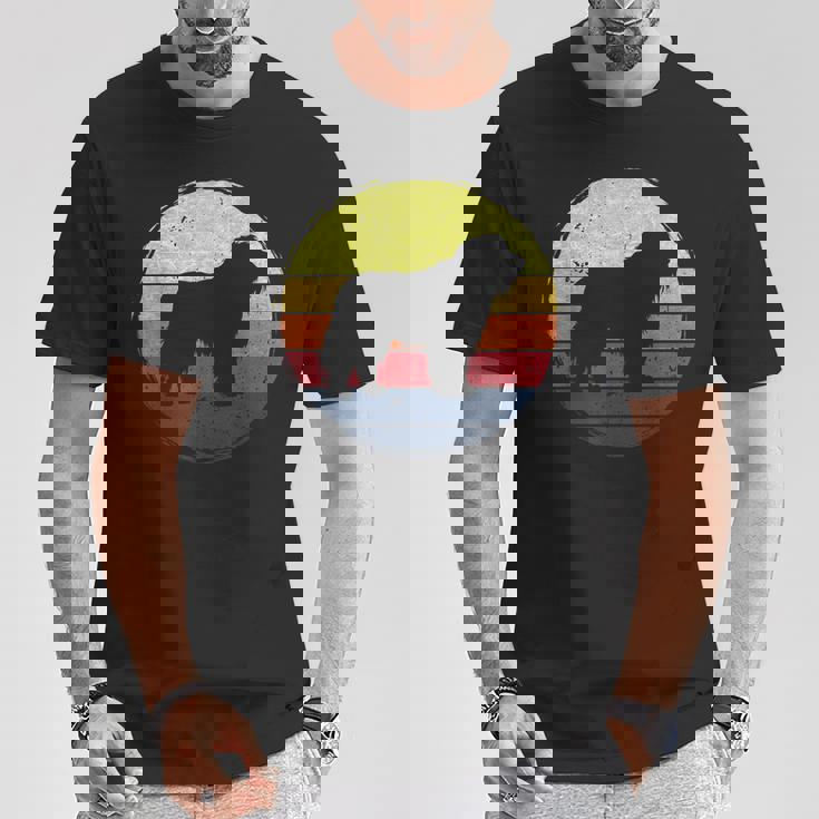 オールドイングリッシュシープドッグドッグレトロデザイン Tシャツ 面白い贈り物