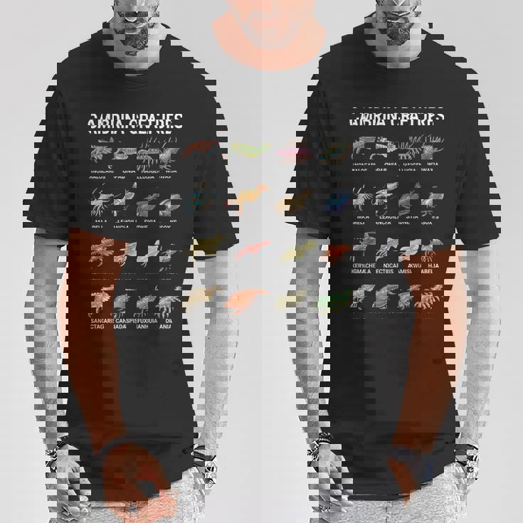 カンブリア紀の生き物チャート–先史時代の海洋生物アート Tシャツ 面白い贈り物