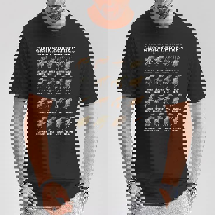 カンブリア紀の生き物チャート先史時代の生活古生物学 Tシャツ 面白い贈り物