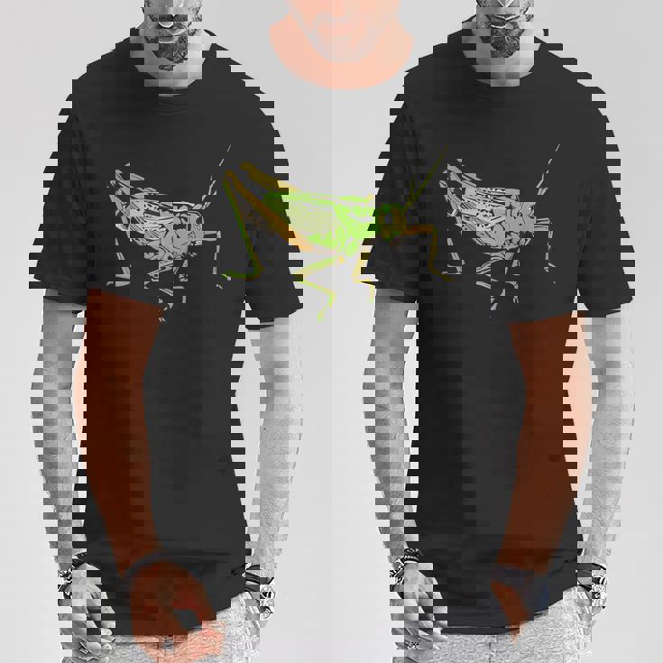 キリギリス アート デザイン イラスト イナゴ キリギリス Tシャツ 面白い贈り物