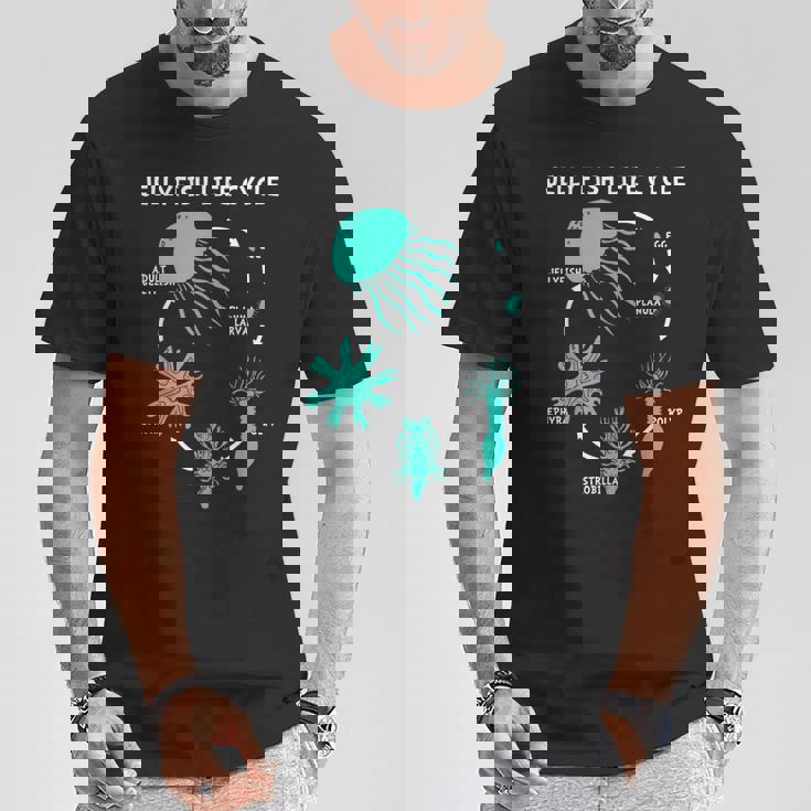 クラゲのライフサイクル Tシャツ 面白い贈り物
