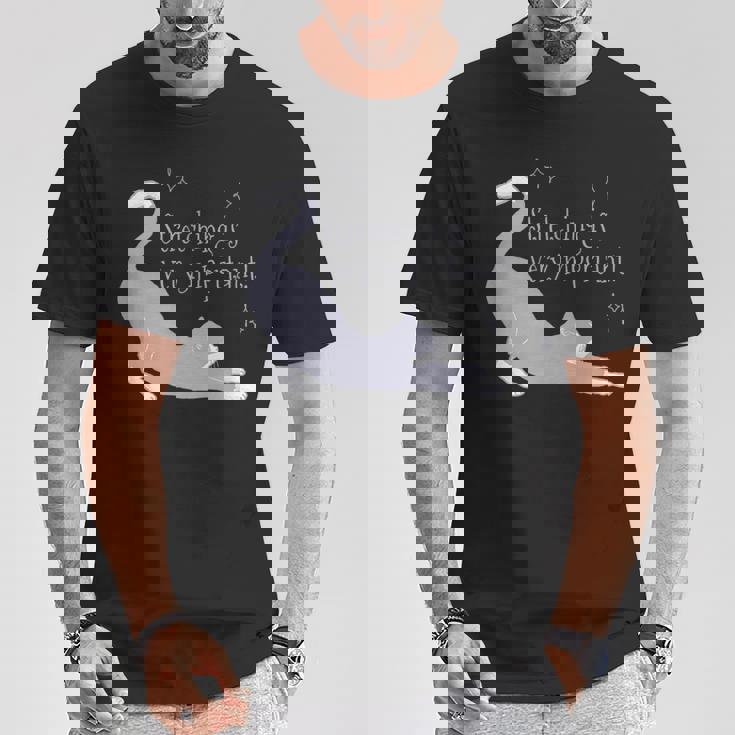 ストレッチは大事！ 猫 ネコ 愛猫 伸び 柔軟 ハチワレ 靴下猫 シンプル かわいい 癒やし メンズ レディース キッズ Tシャツ 面白い贈り物