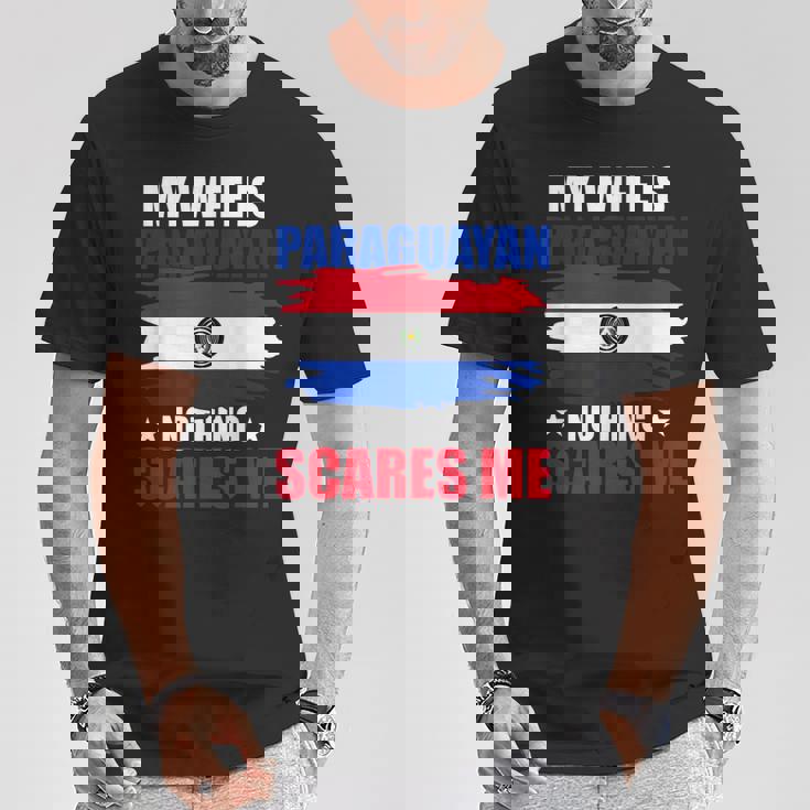 パラグアイ国旗 パラグアイ遺産 Tシャツ 面白い贈り物