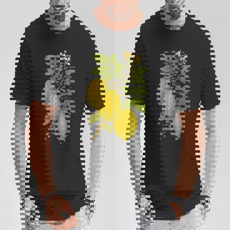 ビンテージ ボタニカル スターフルーツ 自然 アートプリント Tシャツ 面白い贈り物