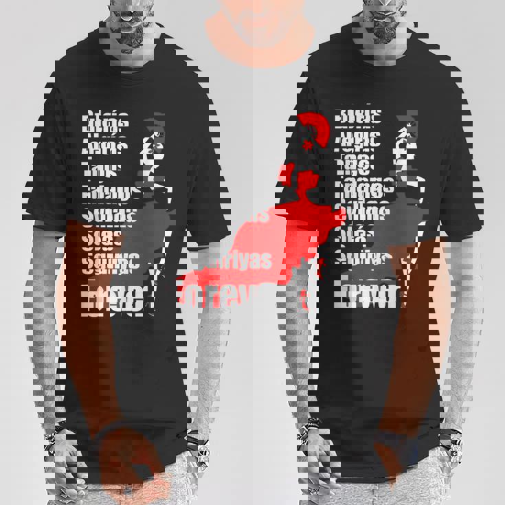 フラメンコダンススタイルパロス Tシャツ 面白い贈り物