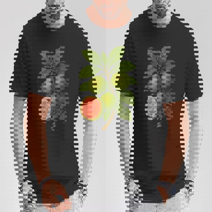 ヴィンテージ ボタニカル グアバ 自然 フルーツ アートプリント Tシャツ 面白い贈り物