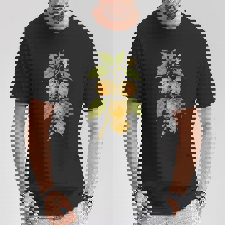 ヴィンテージ ボタニカル サイサリス 自然 フルーツ アートプリント Tシャツ 面白い贈り物