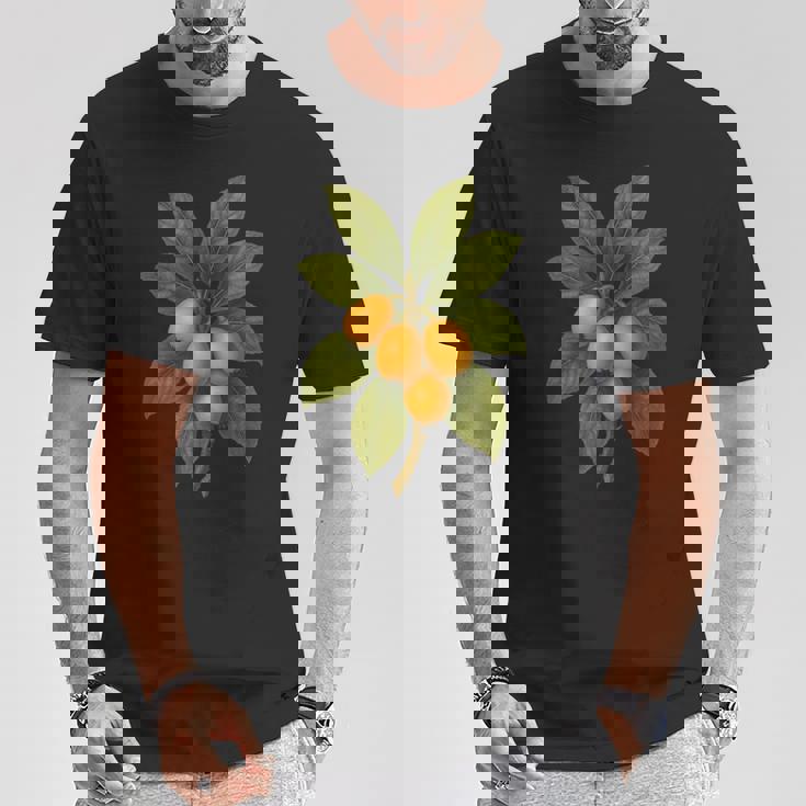 ヴィンテージ ボタニカル ビワ 自然 フルーツ アートプリント Tシャツ 面白い贈り物