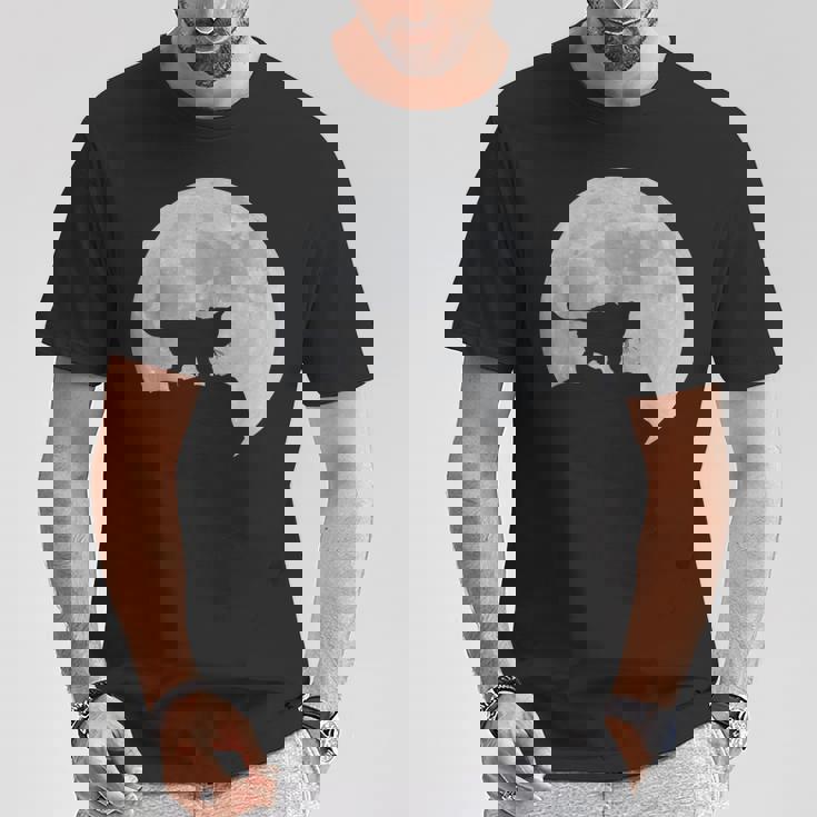 月と猫のシルエット ソマリ猫 Tシャツ 面白い贈り物