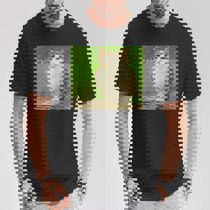 猫 フクロウ 面白い 呪われた Hello Bro Brainrot Meowl Hiro Meme Tシャツ 面白い贈り物