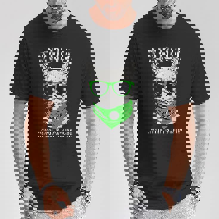 緑寿祝い ねこ サングラス 父 男性 女性 母 猫好き 緑寿 お祝い 66歳 おもしろ おもろい かっこいい Tシャツ 面白い贈り物