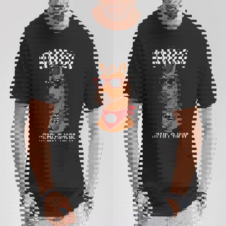 還暦祝い 馬 うま好き 干支 父 男性 女性 還暦 お祝い 60歳 おもしろ おもろい Tシャツ 面白い贈り物