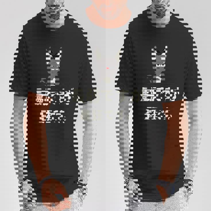 面白い 猫 文字入り 「最弱ですが最狂です。」おもしろギャグ-ジョーク 漢字 最弱ですが最狂です。 Tシャツ 面白い贈り物