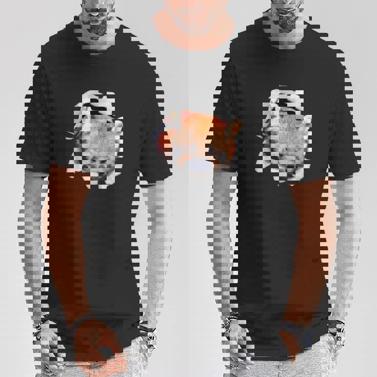 面白いtシャツ レッサーパンダ メンズ 動物 グッズ かわいい 面白い 服 ネタ Tシャツ 面白い贈り物