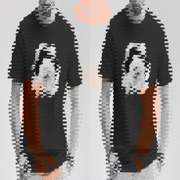 面白いtシャツ 犬 ポメラニアン イヌ わんこ メンズ 犬好き グッズ かわいい おもしろ 面白い 服 ネタ Tシャツ 面白い贈り物