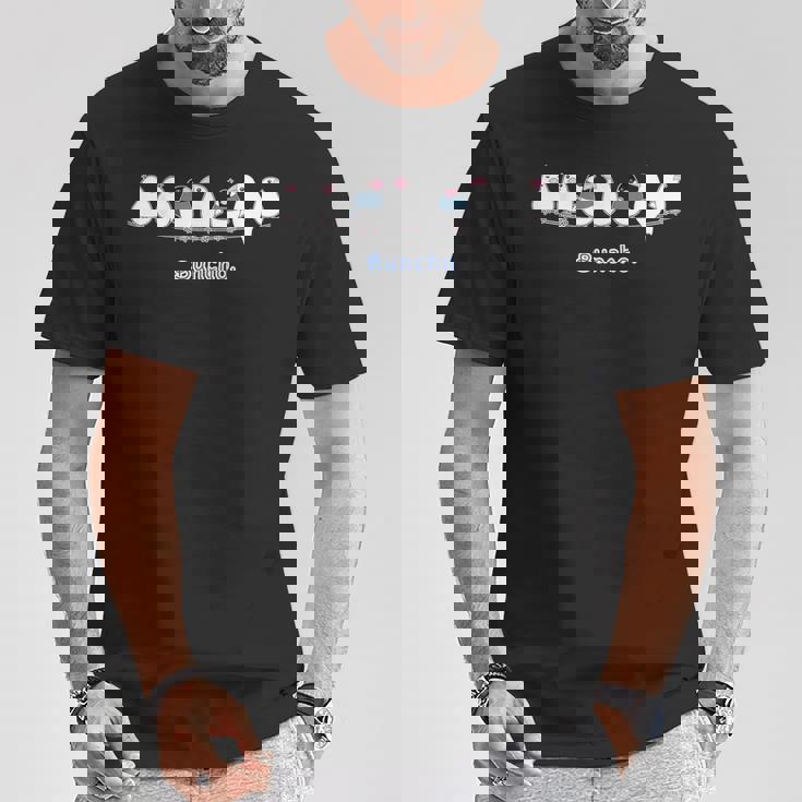 （新デザイン）シロブンチョウ & サクラブンチョウ『なかまたち』白文鳥 桜文鳥【どうぶつフレンズ】かわいい Tシャツ 面白い贈り物