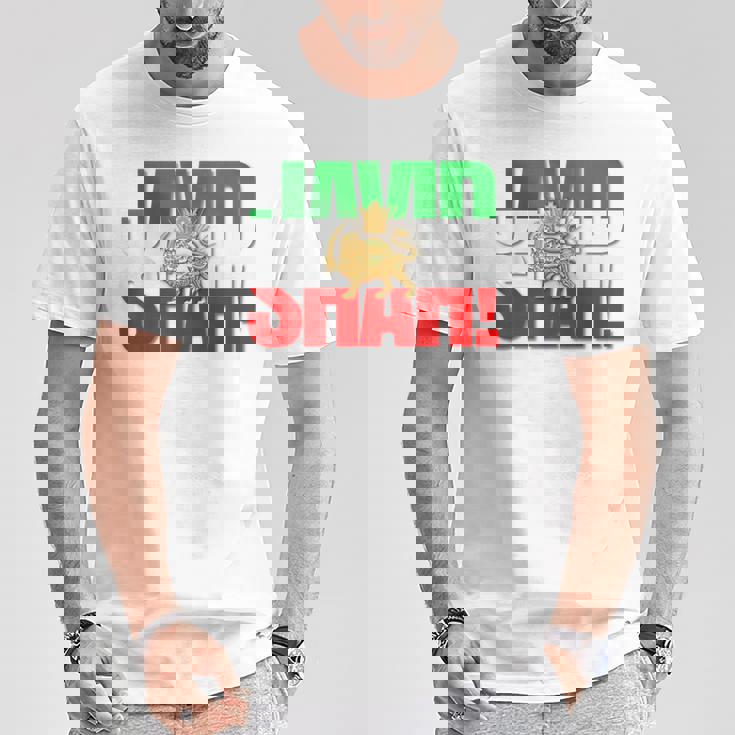 Javidhah イラン国旗 ペルシャパフラヴィー ライオンと太陽 Tシャツ 面白い贈り物