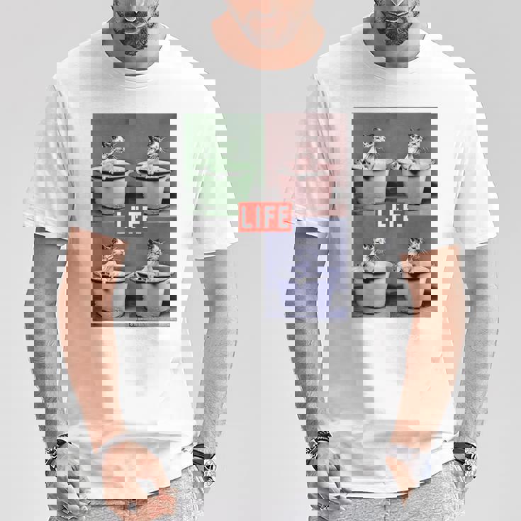 Life Picture Collection 猫（1） Tシャツ 面白い贈り物
