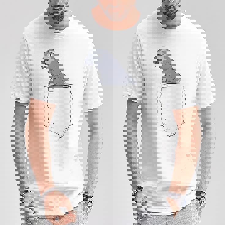 Oiseau Gris Du Gabon Dans Leac T-Shirt Cadeaux drôles