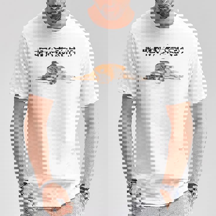 明日から本気出す ・ビーグルス ビーグル犬 面白い ビーグル愛好家に ビーグルののんびりデザイン Tシャツ 面白い贈り物