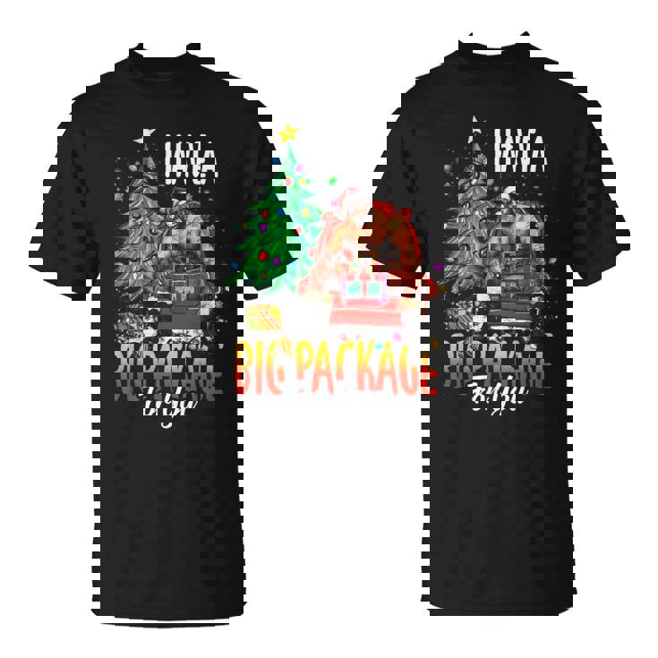 C'est Drôle J'ai Un Gros Colis Pour Toiilain Gros Gars Noir T-Shirt