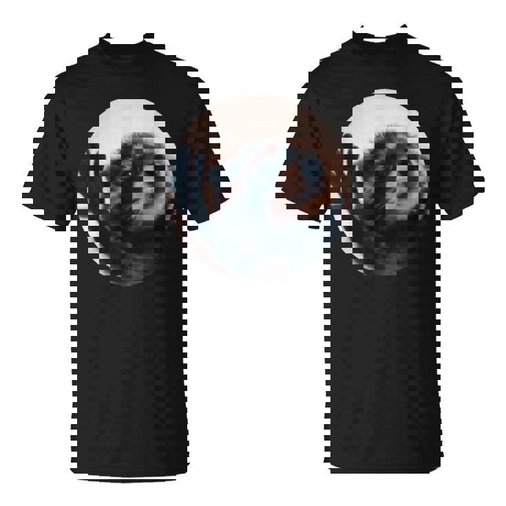 Meme Pedro Racoon T-Shirt