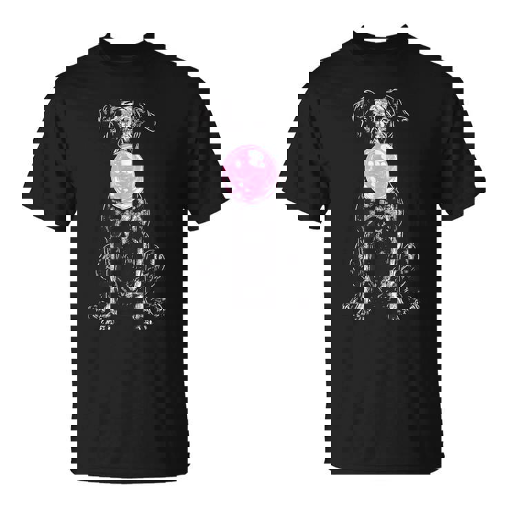 Vintage Dobermann Cheoffia Bolla Cane Papà Mamma Proprietario Maglietta