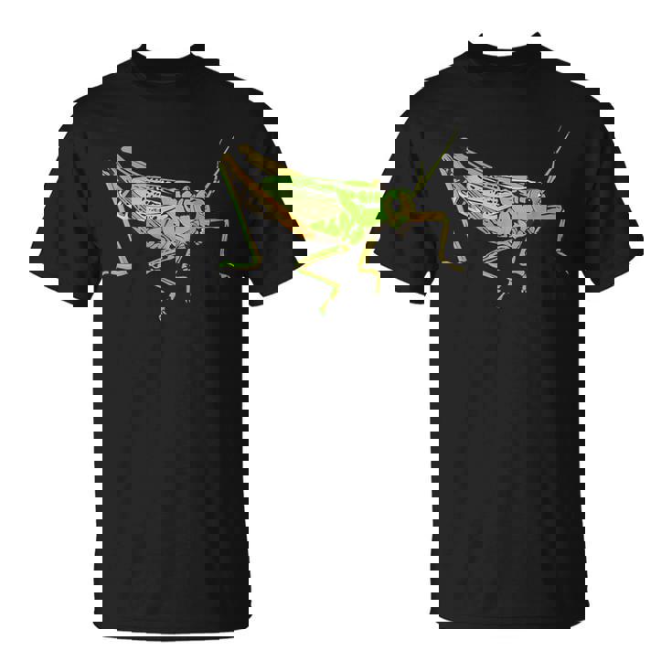 キリギリス アート デザイン イラスト イナゴ キリギリス Tシャツ