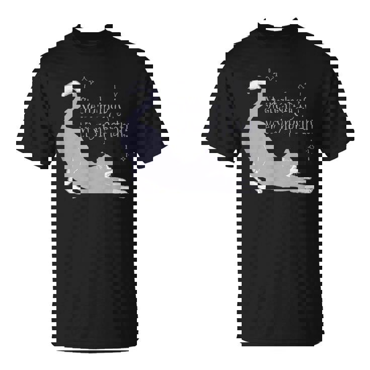 ストレッチは大事！ 猫 ネコ 愛猫 伸び 柔軟 ハチワレ 靴下猫 シンプル かわいい 癒やし メンズ レディース キッズ Tシャツ