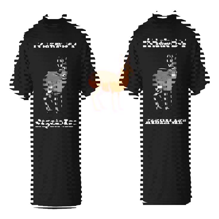 パタゴニア・マラ 長袖tシャツ Tシャツ