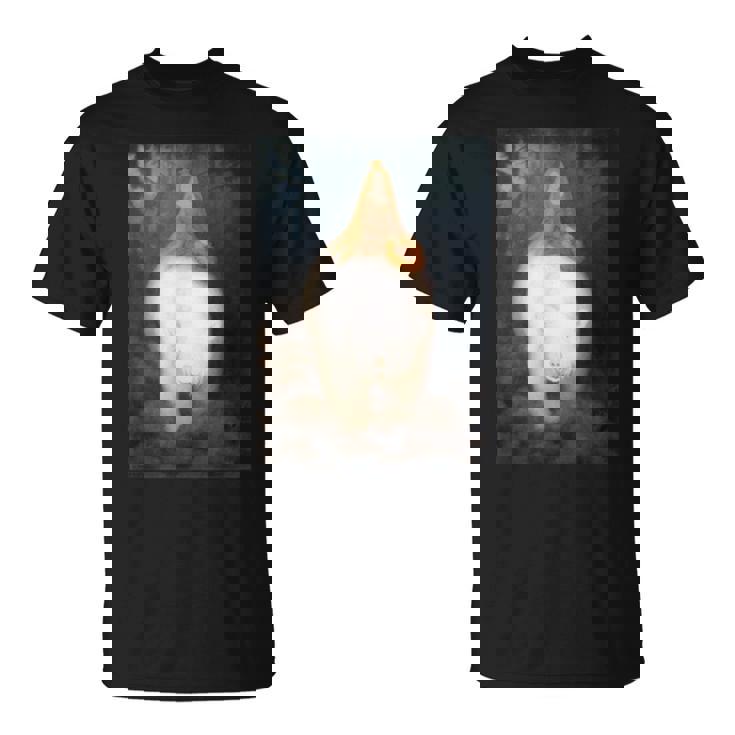 ホワイトベア王 ヴァレモン テオドール・キッテルセン ロマン主義アート Tシャツ