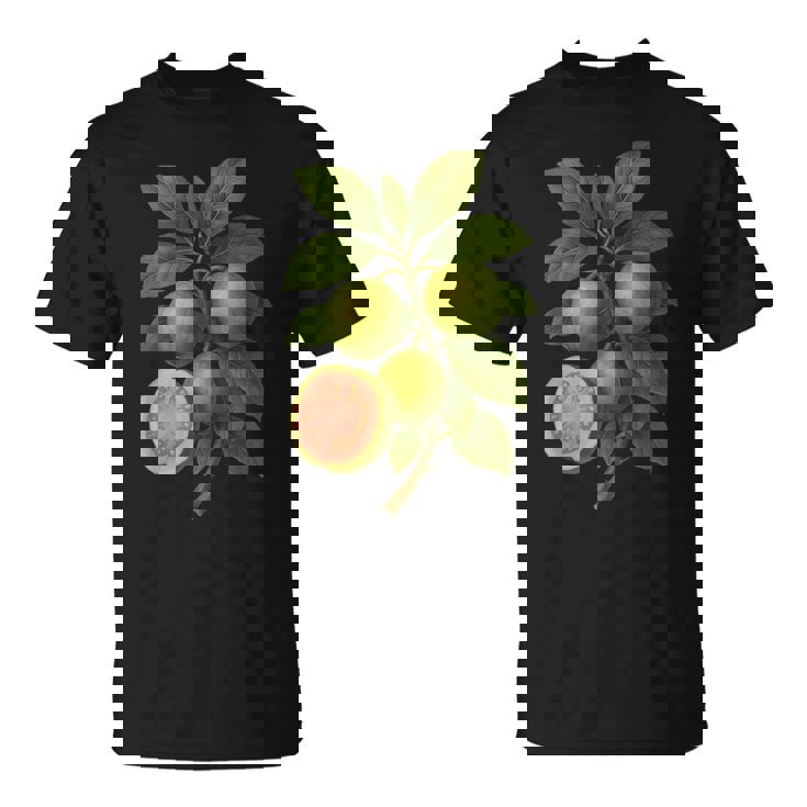 ヴィンテージ ボタニカル グアバ 自然 フルーツ アートプリント Tシャツ