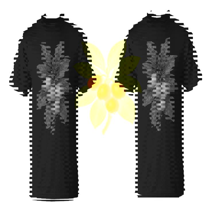 ヴィンテージ ボタニカル ビワ 自然 フルーツ アートプリント Tシャツ