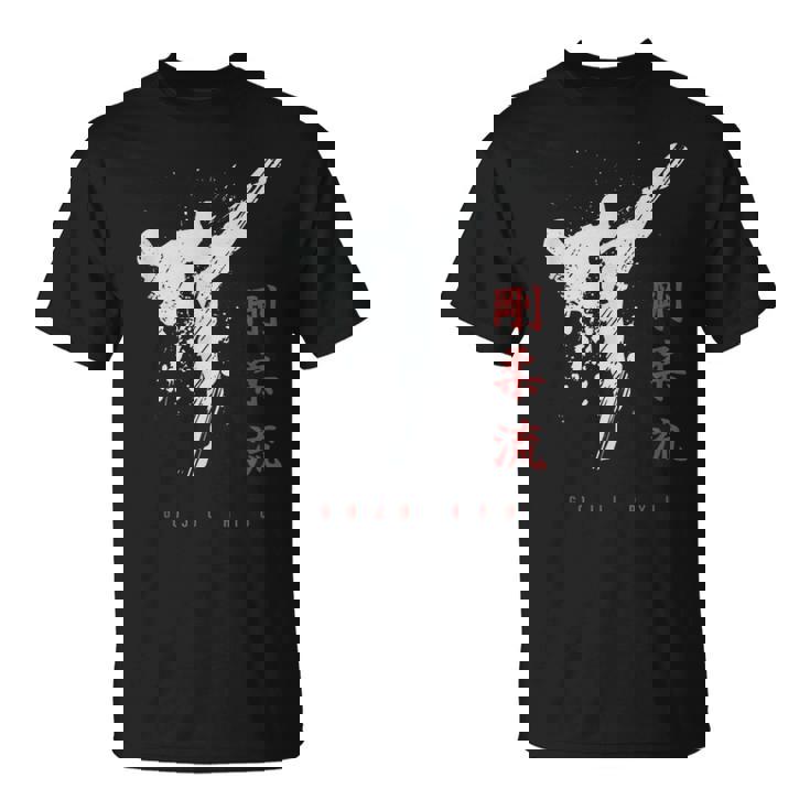 沖縄剛柔流空手 Tシャツ