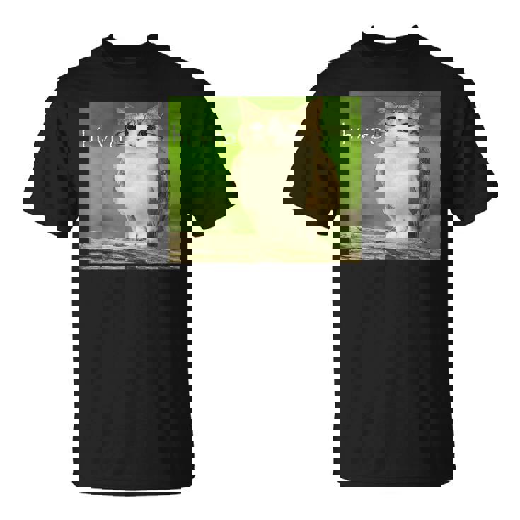 猫 フクロウ 面白い 呪われた Hello Bro Brainrot Meowl Hiro Meme Tシャツ